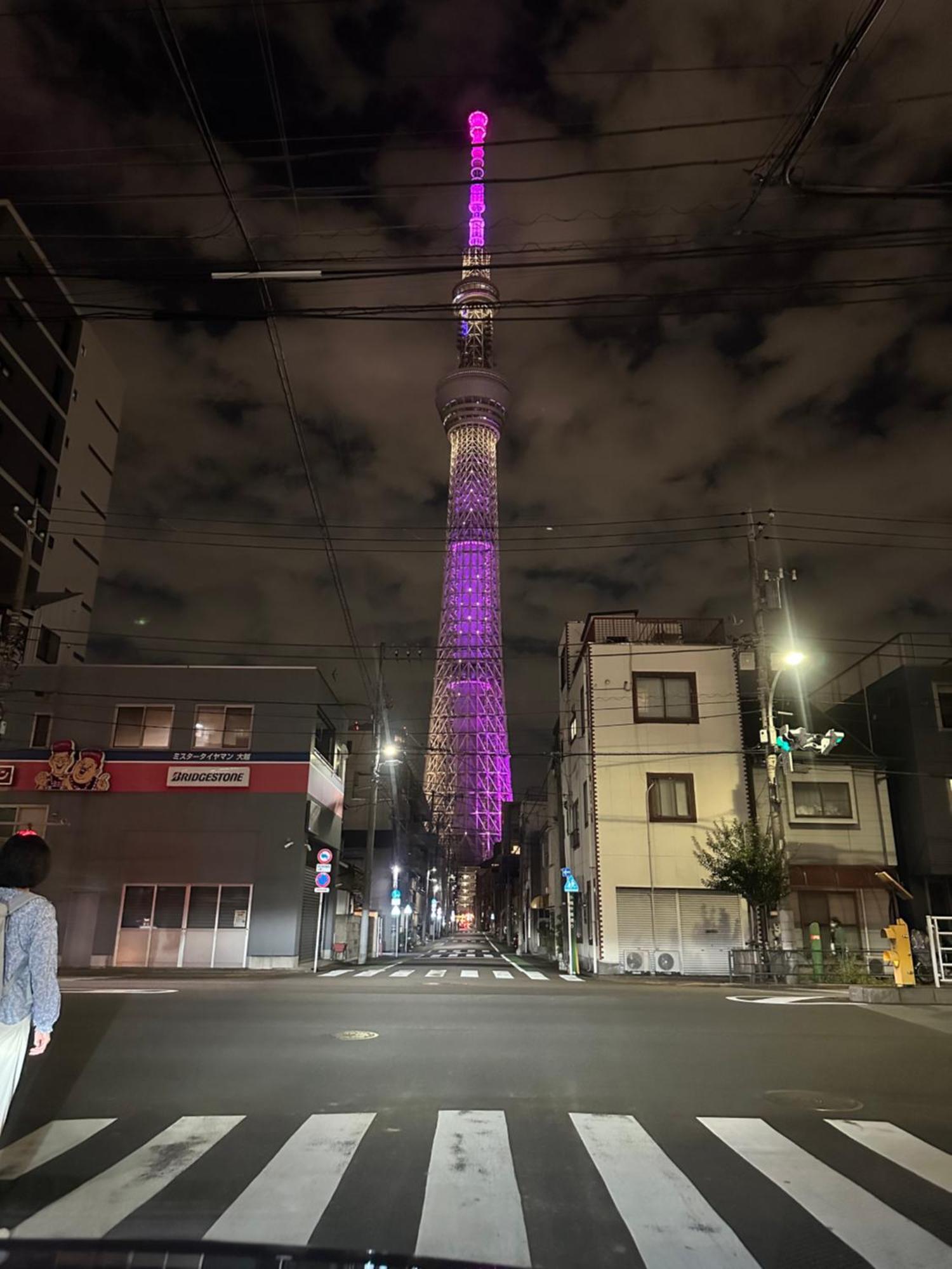 Wise Park Mukojima * 東京都
